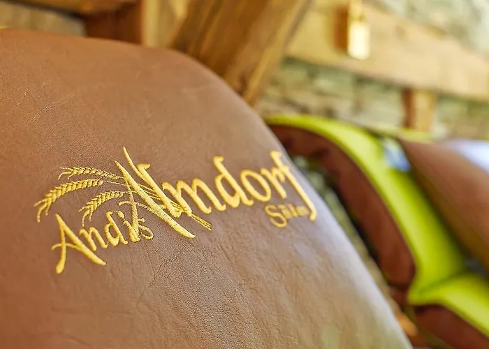 Πανσιόν Andis Almdorf 2*